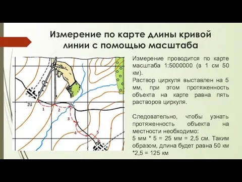 Измерение по карте длины кривой линии с помощью масштаба Измерение проводится