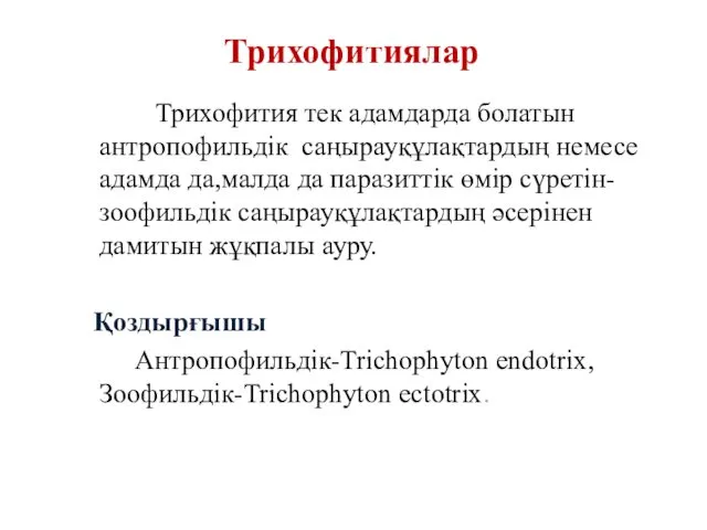 Трихофития тек адамдарда болатын антропофильдік саңырауқұлақтардың немесе адамда да,малда да паразиттік