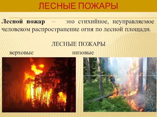 Лесной пожар – это стихийное, неуправляемое человеком распространение огня по лесной