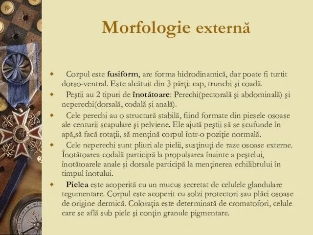 Morfologie externă Corpul este fusiform, are forma hidrodinamică, dar poate fi