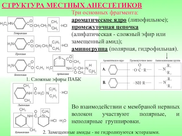 2. Замещенные амиды - не гидролизуются эстеразами. 1. Сложные эфиры ПАБК