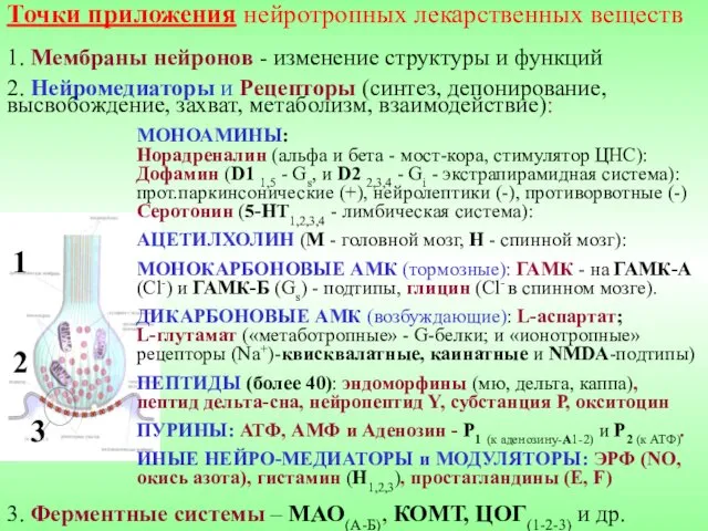 Точки приложения нейротропных лекарственных веществ 1. Мембраны нейронов - изменение структуры