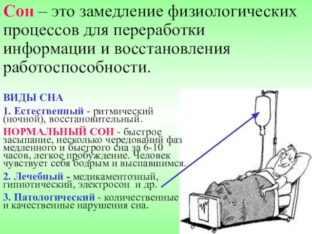 Сон – это замедление физиологических процессов для переработки информации и восстановления