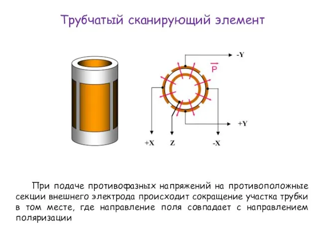 Трубчатый сканирующий элемент При подаче противофазных напряжений на противоположные секции внешнего