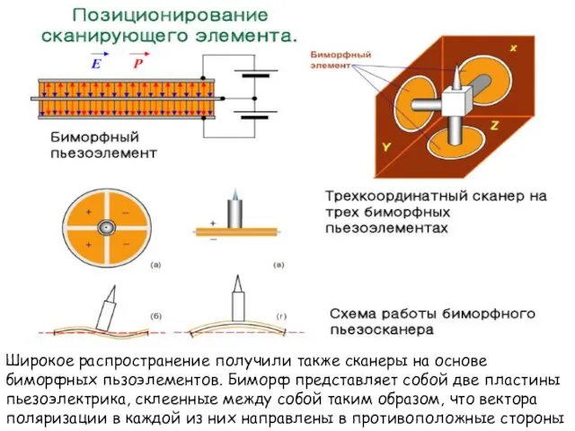 Широкое распространение получили также сканеры на основе биморфных пьзоэлементов. Биморф представляет