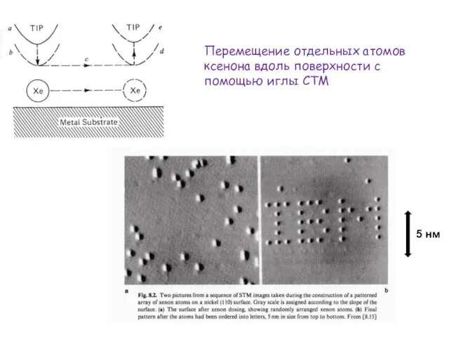 Перемещение отдельных атомов ксенона вдоль поверхности с помощью иглы СТМ 5 нм