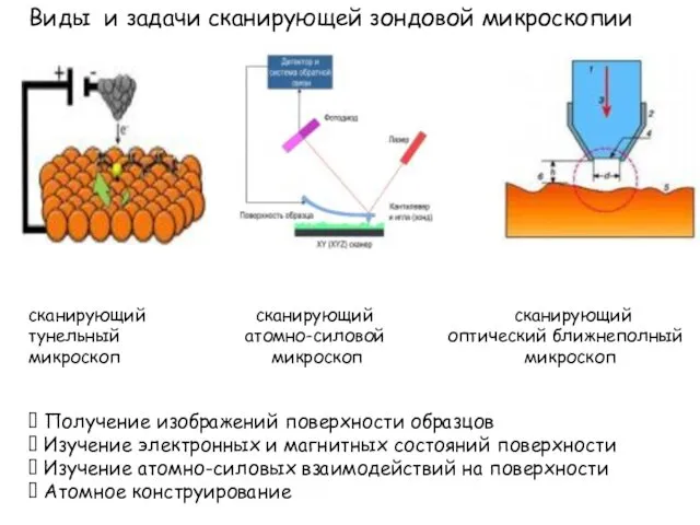 Виды и задачи сканирующей зондовой микроскопии сканирующий сканирующий сканирующий тунельный атомно-силовой