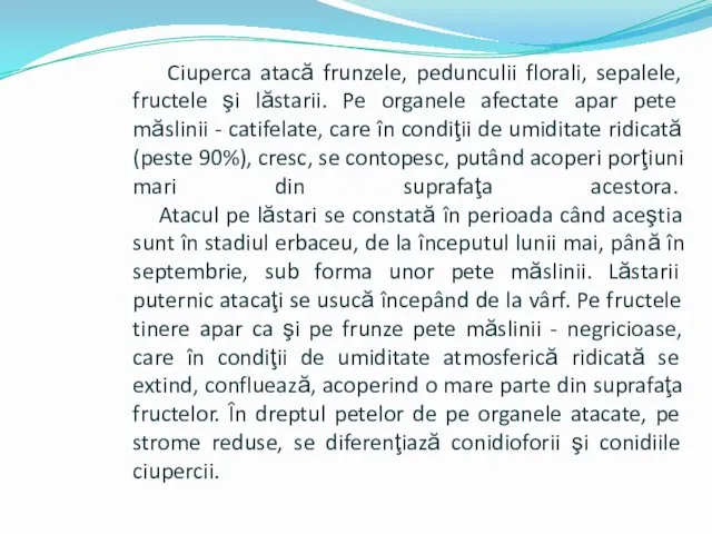 Ciuperca atacă frunzele, pedunculii florali, sepalele, fructele şi lăstarii. Pe organele