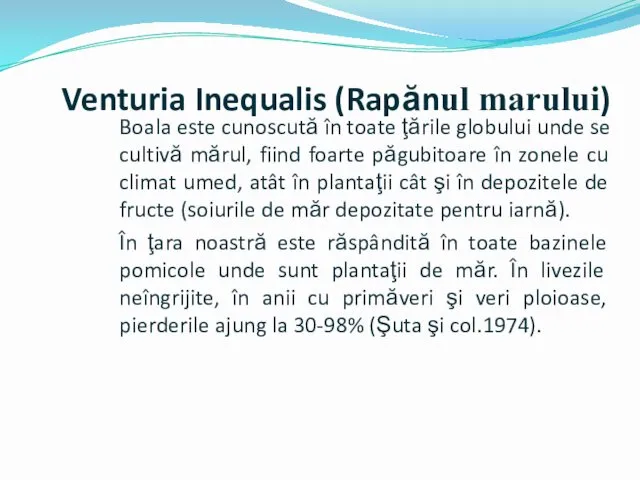 Venturia Inequalis (Rapănul marului) Boala este cunoscută în toate ţările globului