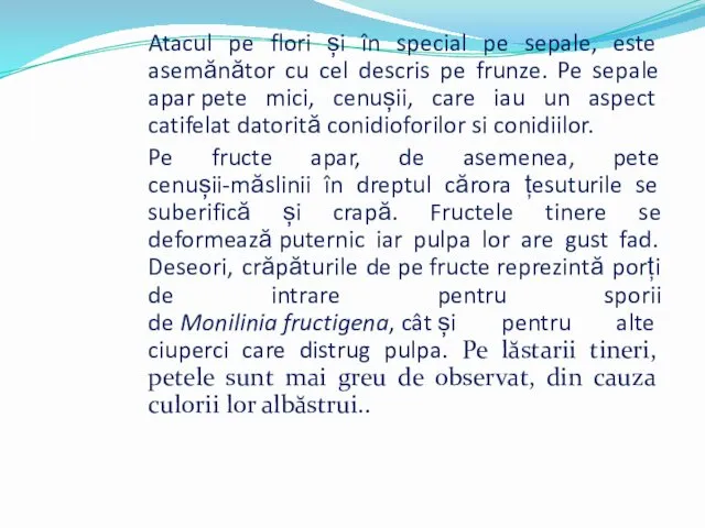 Atacul pe flori și în special pe sepale, este asemănător cu