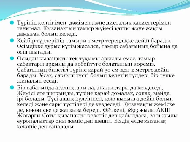 Түрінің көптігімен, дәмімен және диеталық қасиеттерімен танымал. Қызанақтың тамыр жүйесі қатты