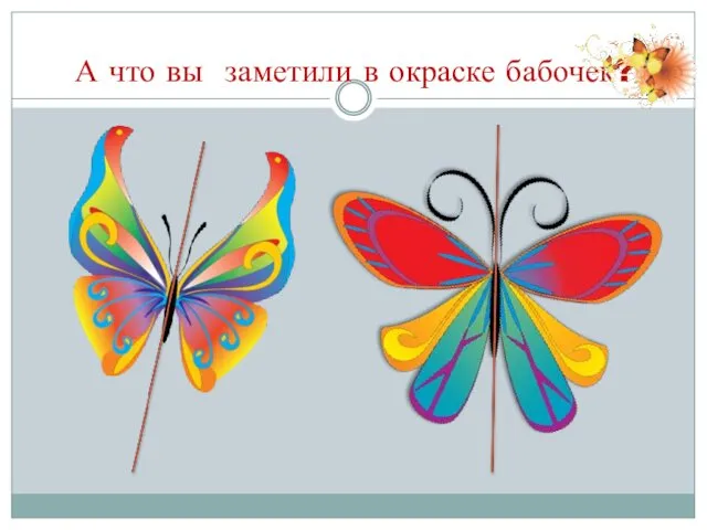 А что вы заметили в окраске бабочек?