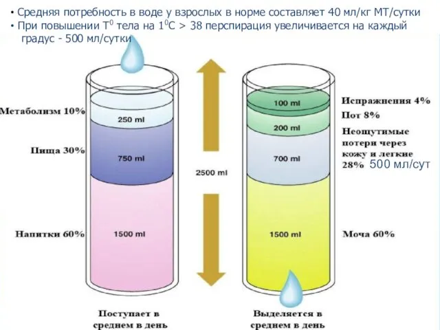 500 мл/сут Средняя потребность в воде у взрослых в норме составляет