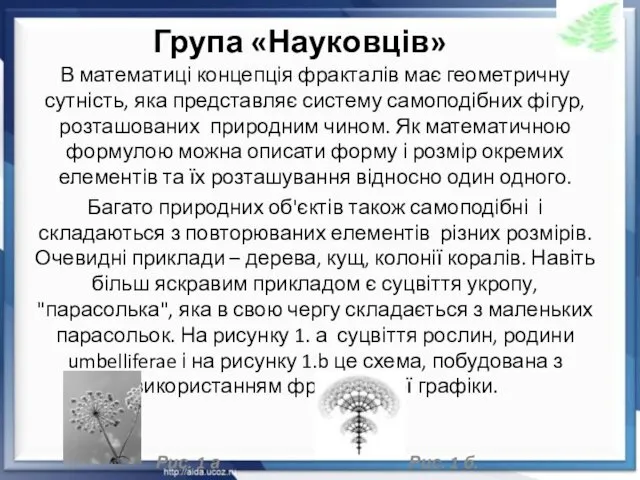 Група «Науковців» В математиці концепція фракталів має геометричну сутність, яка представляє