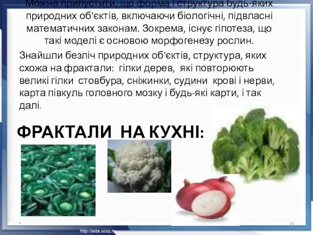 ФРАКТАЛИ НА КУХНІ: Можна припустити, що форма і структура будь-яких природних