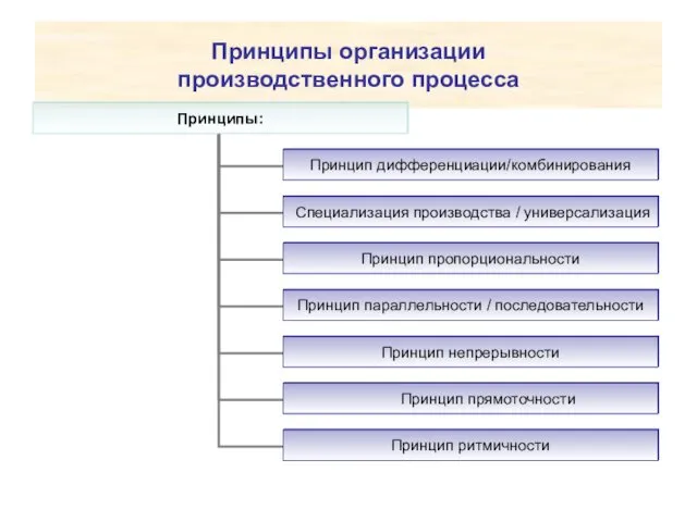 Принципы организации производственного процесса