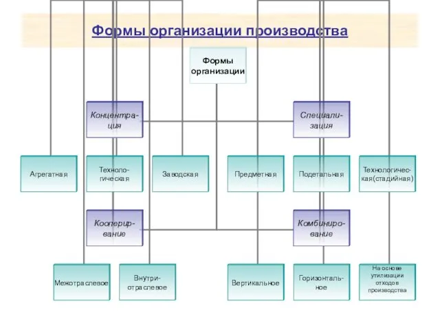 Формы организации производства