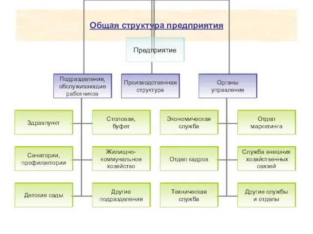 Общая структура предприятия