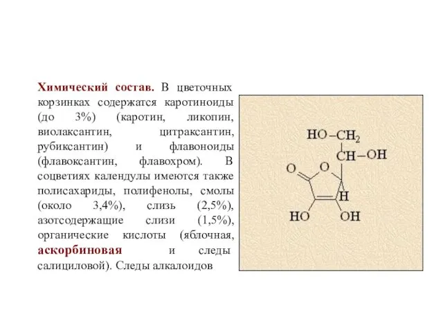 Химический состав. В цветочных корзинках содержатся каротиноиды (до 3%) (каротин, ликопин,