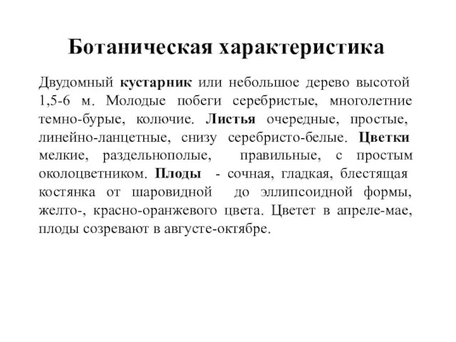 Ботаническая характеристика Двудомный кустарник или небольшое дерево высотой 1,5-6 м. Молодые