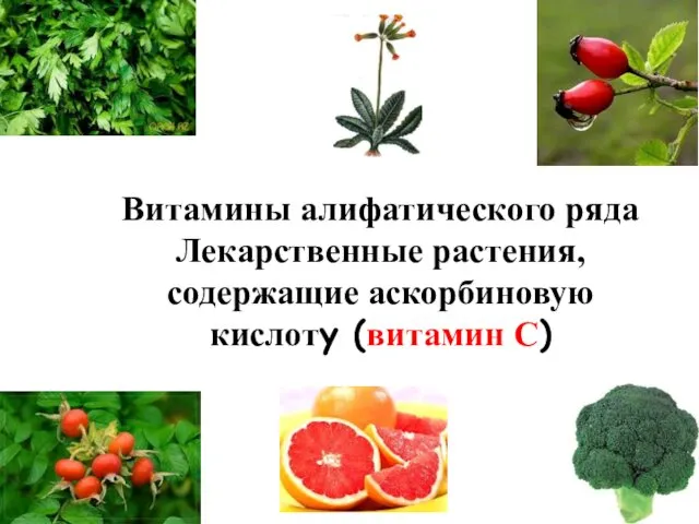 Витамины алифатического ряда Лекарственные растения, содержащие аскорбиновую кислоту (витамин С)