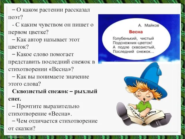 – О каком растении рассказал поэт? - С каким чувством он