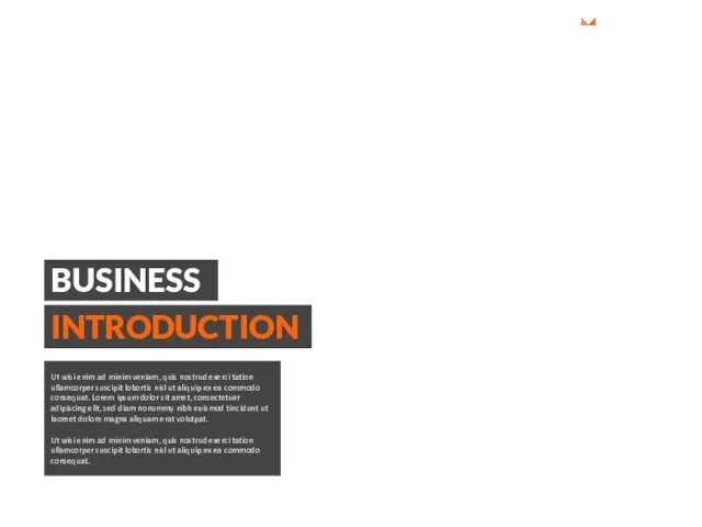 BUSINESS INTRODUCTION Ut wisi enim ad minim veniam, quis nostrud exerci