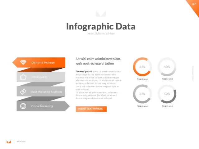 Infographic Data Insert Subtitle in Here Lorem ipsum dolor sit amet