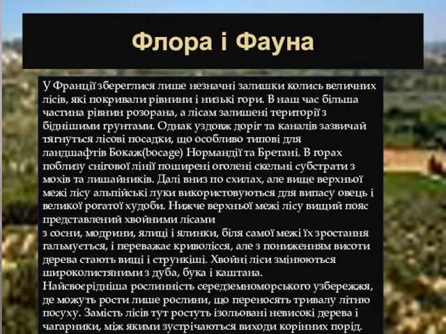 Флора і Фауна У Франції збереглися лише незначні залишки колись величних