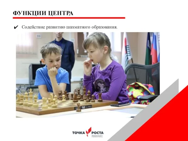 ФУНКЦИИ ЦЕНТРА Содействие развитию шахматного образования.