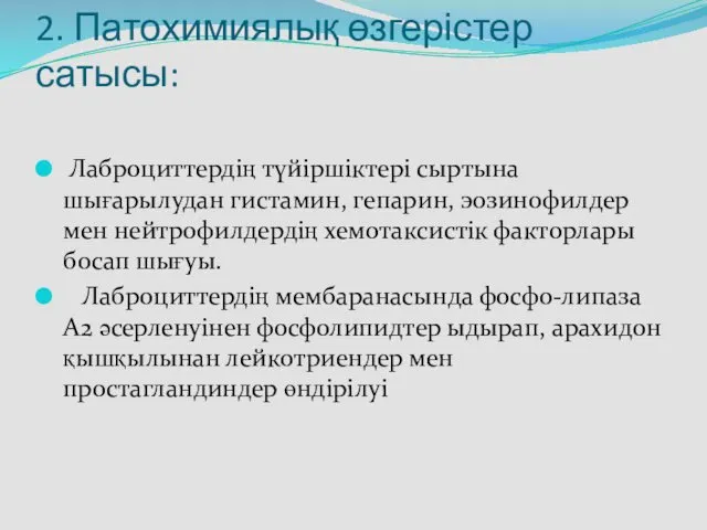 2. Патохимиялық өзгерістер сатысы: Лаброциттердің түйіршіктері сыртына шығарылудан гистамин, гепарин, эозинофилдер