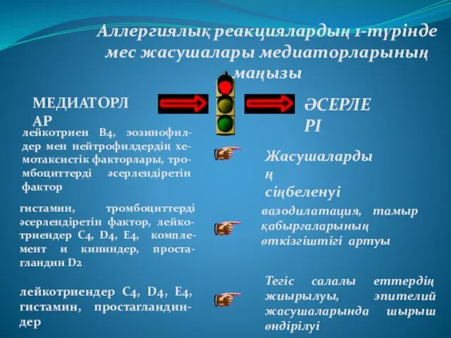 Аллергиялық реакциялардың 1-түрінде мес жасушалары медиаторларының маңызы МЕДИАТОРЛАР ӘСЕРЛЕРІ лейкотриен В4,