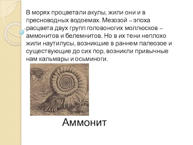 В морях процветали акулы, жили они и в пресноводных водоемах. Мезозой