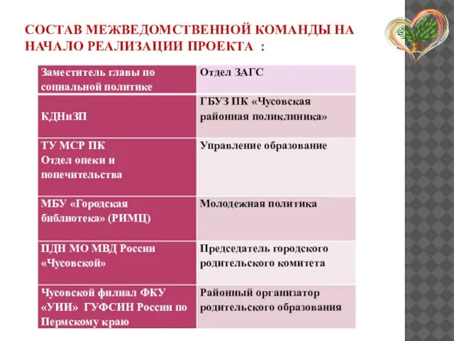 СОСТАВ МЕЖВЕДОМСТВЕННОЙ КОМАНДЫ НА НАЧАЛО РЕАЛИЗАЦИИ ПРОЕКТА :