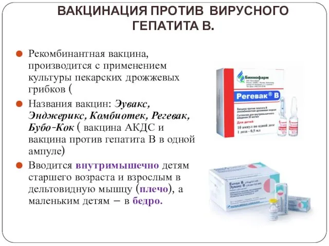 ВАКЦИНАЦИЯ ПРОТИВ ВИРУСНОГО ГЕПАТИТА В. Рекомбинантная вакцина, производится с применением культуры