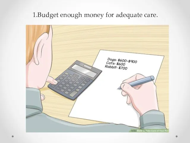 1.Budget enough money for adequate care.