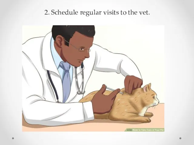 2. Schedule regular visits to the vet.