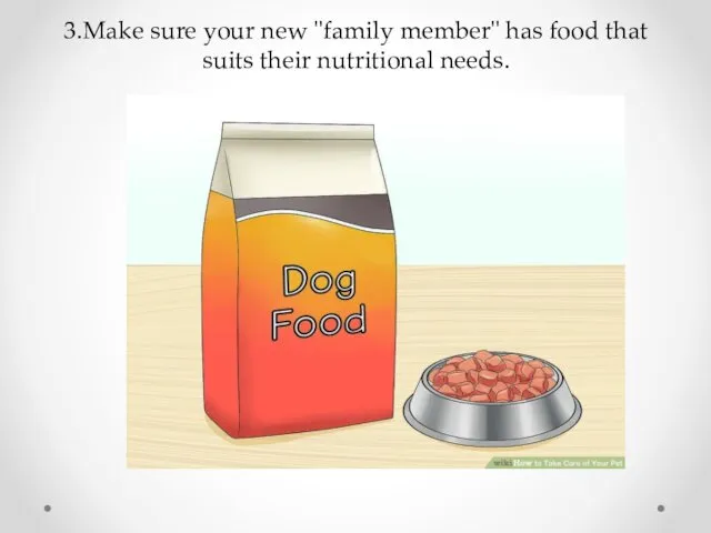 3.Make sure your new "family member" has food that suits their nutritional needs.