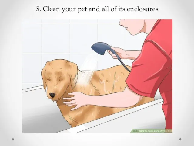 5. Clean your pet and all of its enclosures