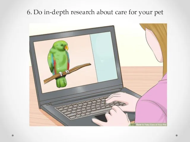 6. Do in-depth research about care for your pet