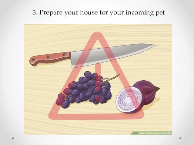 3. Prepare your house for your incoming pet