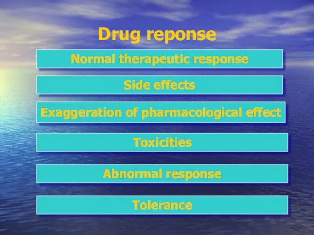 Drug reponse Normal therapeutic response Side effects Exaggeration of pharmacological effect Toxicities Abnormal response Tolerance