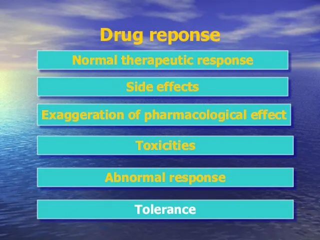 Drug reponse Normal therapeutic response Side effects Exaggeration of pharmacological effect Toxicities Abnormal response Tolerance