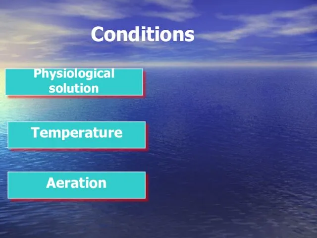 Conditions Physiological solution Temperature Aeration