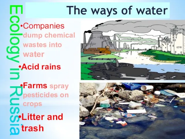 The ways of water pollution Ecology in Russia Acid rains Companies