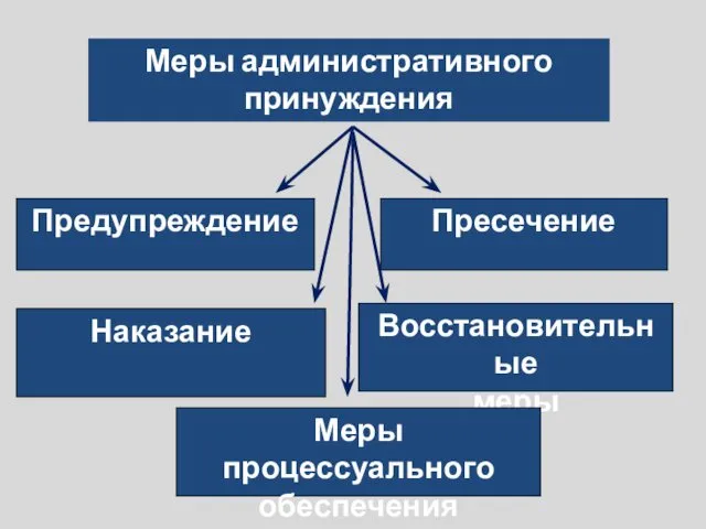 Меры административного принуждения Предупреждение Пресечение Наказание Восстановительные меры Меры процессуального обеспечения