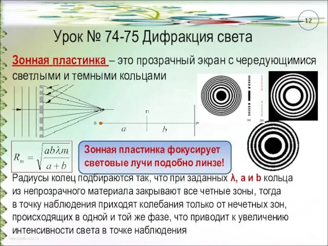 Урок № 74-75 Дифракция света Зонная пластинка – это прозрачный экран