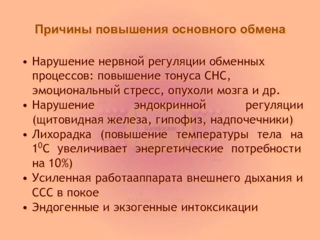 Причины повышения основного обмена Нарушение нервной регуляции обменных процессов: повышение тонуса