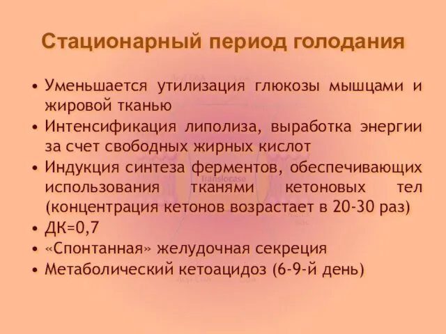 Стационарный период голодания Уменьшается утилизация глюкозы мышцами и жировой тканью Интенсификация