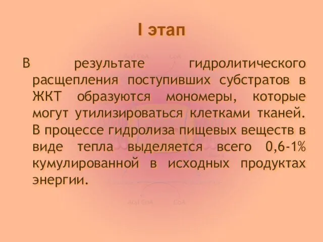 I этап В результате гидролитического расщепления поступивших субстратов в ЖКТ образуются